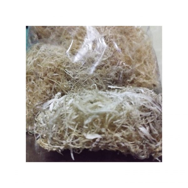 Irish Moss