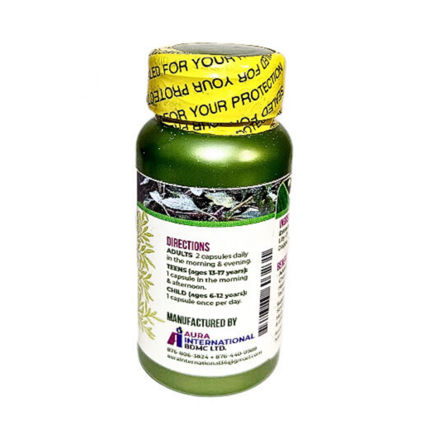 Laba (Herbal Capsules) - Image 3